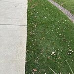Image of Review by Casey on 12 Oct 2023 number 1
