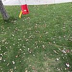 Image of Review by Casey on 12 Oct 2023 number 2