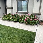Image of Review by Steven on 12 Oct 2023 number 1