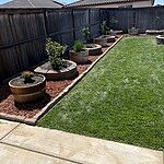 Image of Review by Steven on 12 Oct 2023 number 4