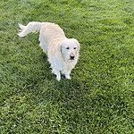 Image of Review by Steven on 12 Oct 2023 number 6