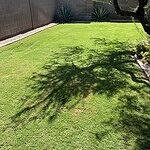 Image of Review by Kevin on 12 Oct 2023 number 1