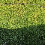 Image of Review by Ali on 12 Oct 2023 number 2