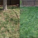 Image of Review by Holly on 13 Oct 2023 number 2