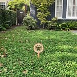 Image of Review by Robert on 13 Oct 2023 number 1