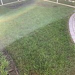 Image of Review by Joseph on 13 Oct 2023 number 1