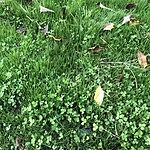 Image of Review by Ryan on 13 Oct 2023 number 1
