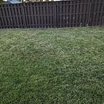 Image of Review by Isiah on 13 Oct 2023 number 1