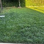 Image of Review by Kevin on 15 Oct 2023 number 2