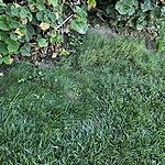Image of Review by Kevin on 15 Oct 2023 number 1