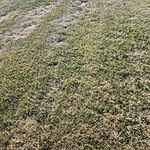 Image of Review by Angelia on 17 Oct 2023 number 1