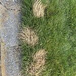 Image of Review by Fred on 3 Aug 2021 number 1