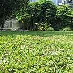 Image of Review by Jeremy on 14 Jul 2021 number 1