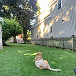 Image of Review by Sharman P. on 31 Oct 2020 number 1