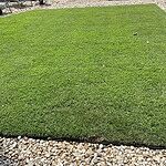 Image of Review by Terry on 20 Oct 2023 number 1