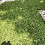 Image of Review by Terry on 20 Oct 2023 number 2