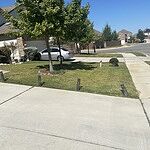 Image of Review by Alfredo on 20 Oct 2023 number 3