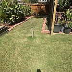 Image of Review by Alfredo on 20 Oct 2023 number 4