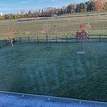 Image of Review by Rj on 23 Oct 2023 number 2
