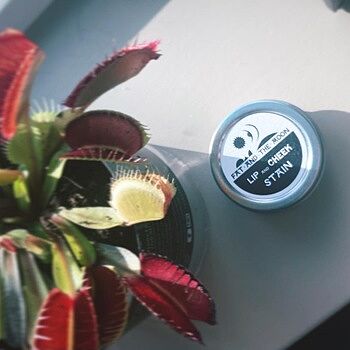 Lip & Cheek Stain Great addition to my daily routine!