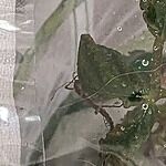 Image of Review by Lisa M. on 1 Dec 2023 number 1