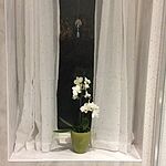 Image of Review by Sheila P. on 30 Jan 2018 number 1