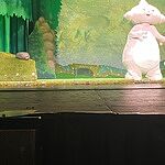 Image of Review by Alison S. on 8 Jun 2024 number 1