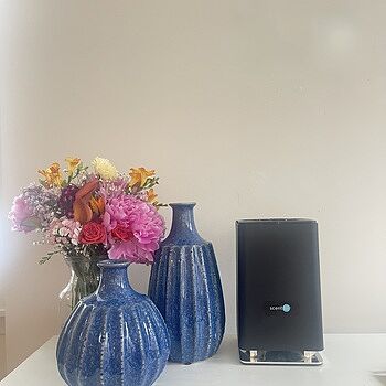 ScentAir Whisper™ HOME Diffuser - BLACK Feeling at Home