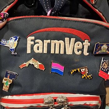 Maryland Pin Love it!