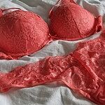 Image of Review by Stefanie B. on 22 Jun 2024 number 1