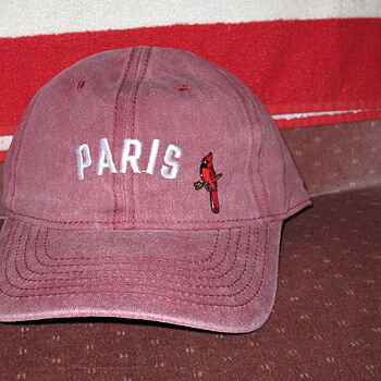 Cardinal Bird Pin Good Item, would order again