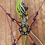 Image of Review by MO M. on 18 Jul 2024 number 1