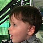 Image of Review by Julie on 5 Jun 2018 number 1