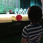 Image of Review by Rebecca on 5 Jun 2018 number 2