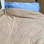 Image of Review by Beatrice Z. on 2 Sep 2024 number 4
