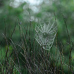 Image of Review by Patrick O. on 17 Sep 2024 number 3