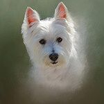Image of Review by Lorraine W. on 18 Sep 2024 number 1