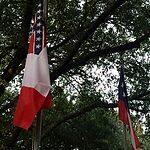 Image of Review by Paul A. on 22 Jul 2018 number 1