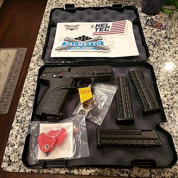 KelTec P17 .22lr Pistol, Blk - P17BLK Palmetto armory Rocks