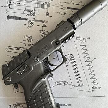 KelTec P17 .22lr Pistol, Blk - P17BLK For a $199 22LR, this