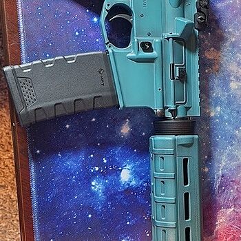 PSA AR-15 Blem "Stealth" Stripped Lower Receiver Great lower built a beautiful