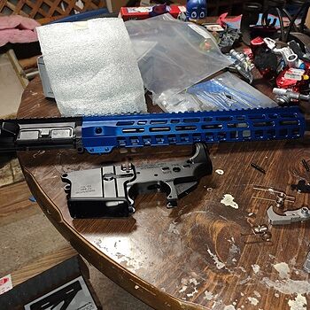 PSA AR-15 Blem "Stealth" Stripped Lower Receiver No issues with this lower