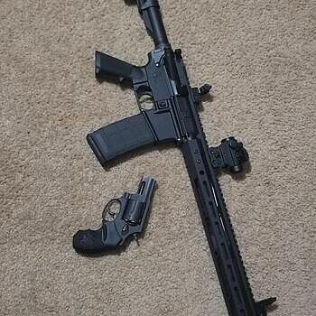 PSA Classic AR-15 Complete Stealth Lower Ar 15 budget build