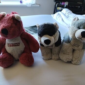 Grimfrost's Plushies, The Wolves Set All three items arrived quickly