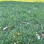 Image of Review by Victoria on 28 Oct 2024 number 1