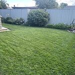 Image of Review by Dora on 28 Oct 2024 number 1