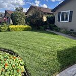 Image of Review by Dora on 28 Oct 2024 number 2