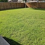 Image of Review by Landon on 28 Oct 2024 number 1