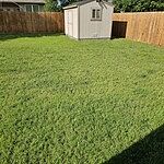 Image of Review by Landon on 28 Oct 2024 number 2