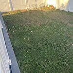 Image of Review by Jimmy on 30 Oct 2024 number 5